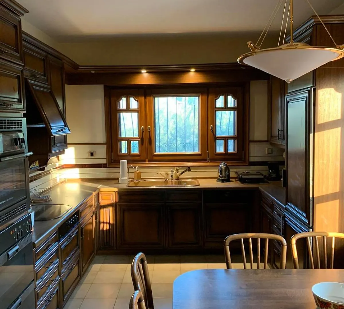 Villa Georgius Neon Rysion 0*,